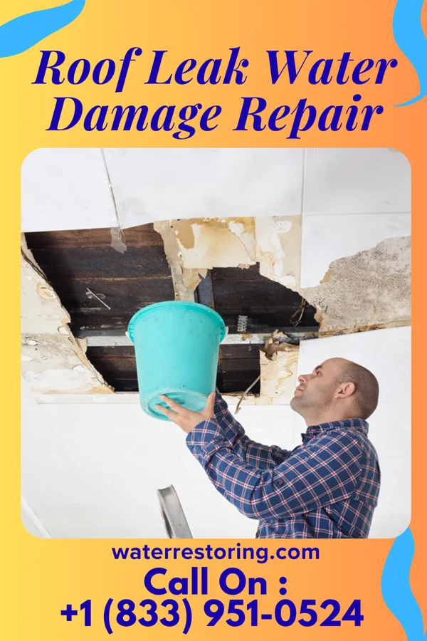 Roof Leak Water Damage Repair in Columbus, WI