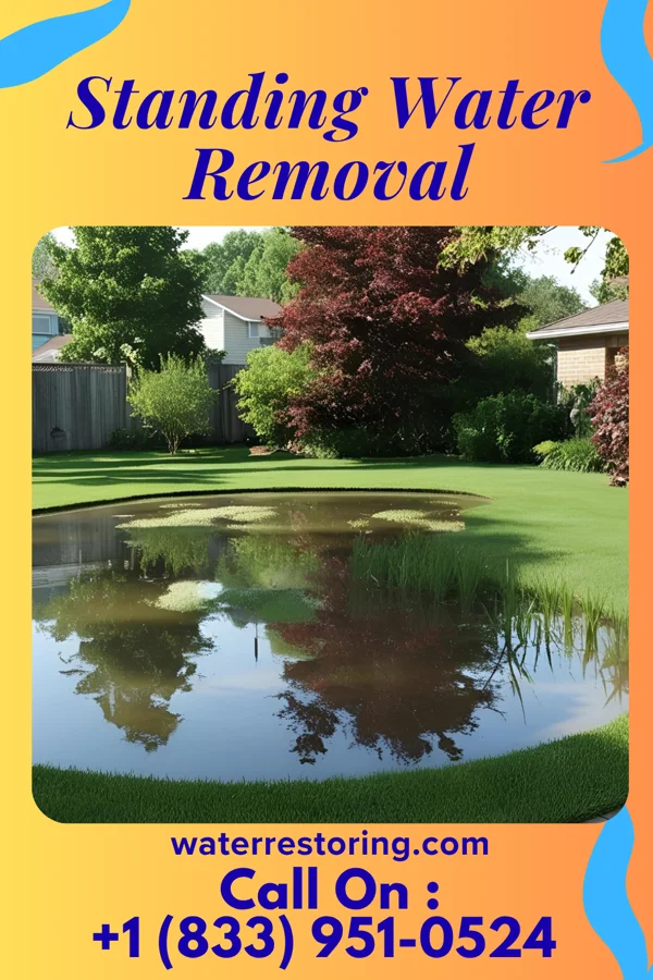 Standing Water Removal in Columbus, WI
